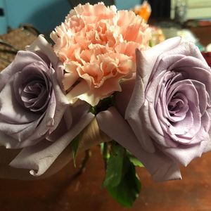 Meet your Posher, Dawn